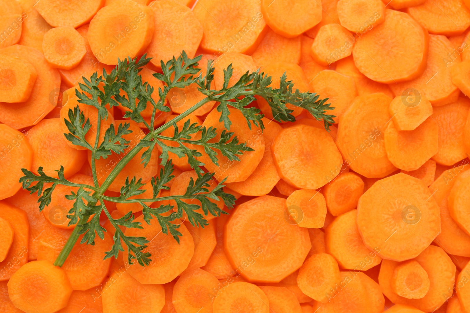 Photo of Slices of fresh ripe carrot and green leaf as background, top view