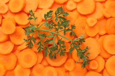 Slices of fresh ripe carrot and green leaf as background, top view