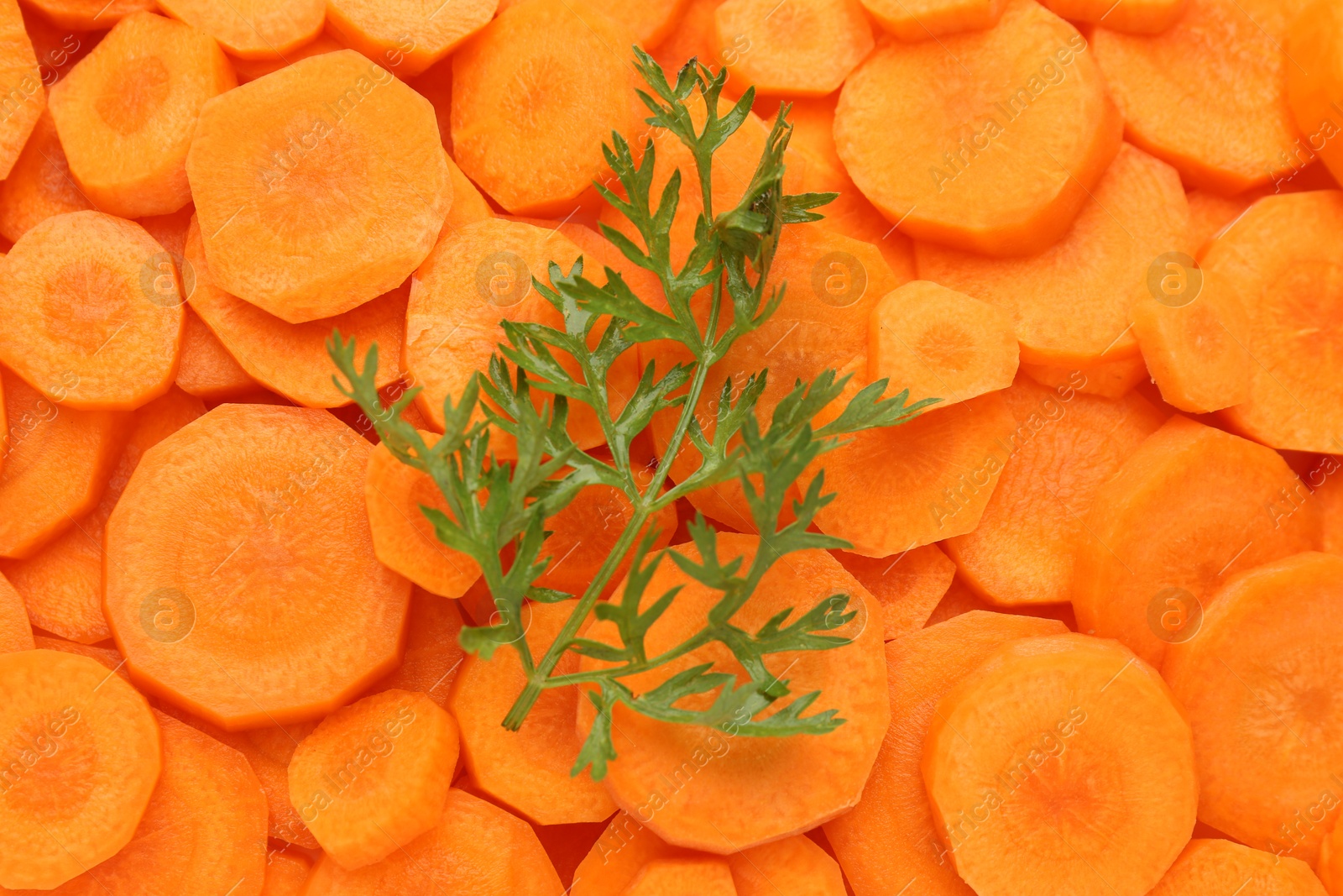 Photo of Slices of fresh ripe carrot and green leaf as background, top view