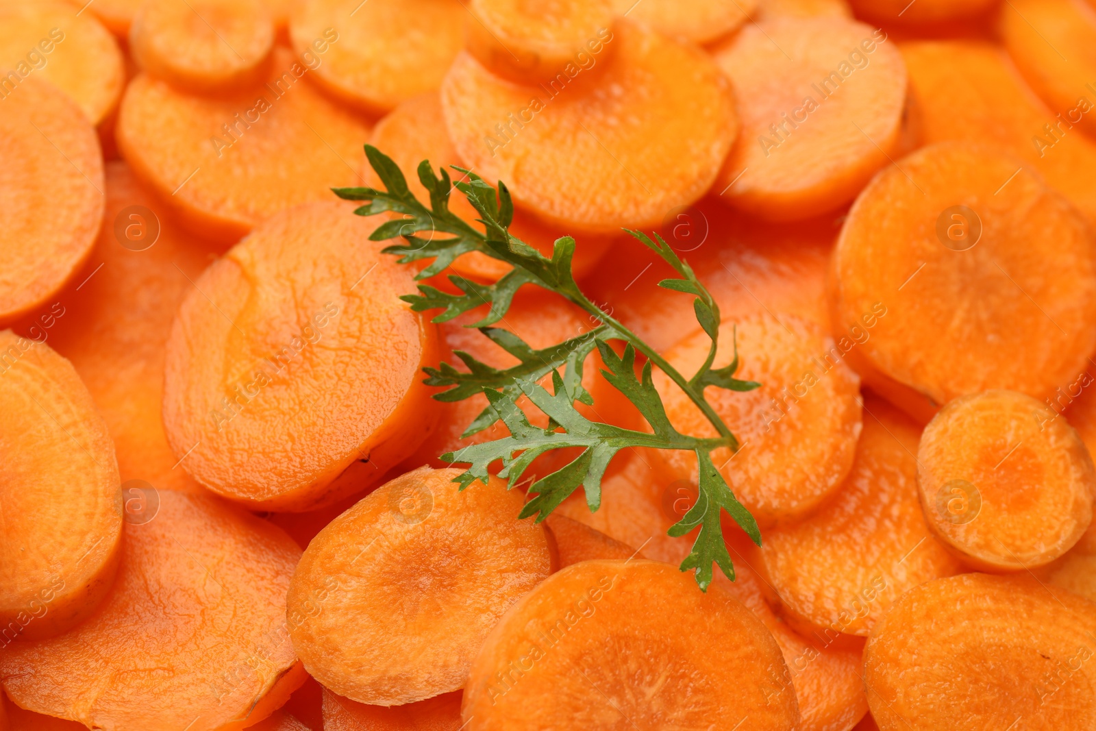 Photo of Slices of fresh ripe carrot and green leaf as background, closeup