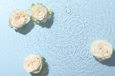 Photo of Beautiful rose flowers in water on light blue background, top view. Space for text