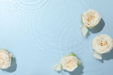 Photo of Beautiful rose flowers in water on light blue background, top view. Space for text