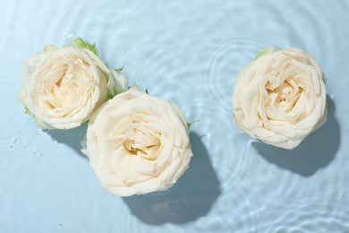 Photo of Beautiful rose flowers in water on light blue background, top view