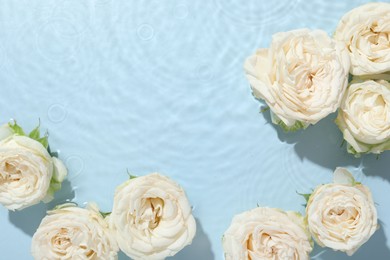 Photo of Beautiful rose flowers in water on light blue background, top view. Space for text