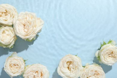 Beautiful rose flowers in water on light blue background, top view. Space for text