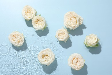 Beautiful rose flowers in water on light blue background, top view