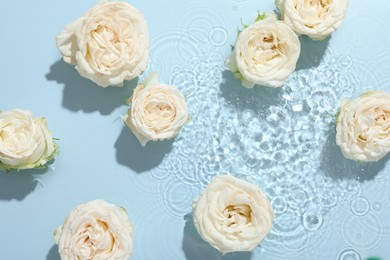 Beautiful rose flowers in water on light blue background, top view