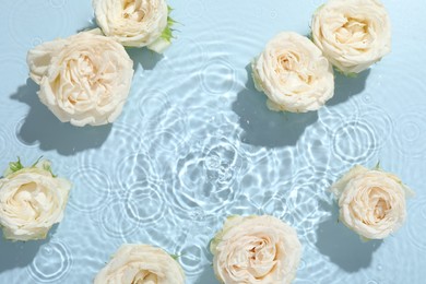 Photo of Beautiful rose flowers in water on light blue background, top view