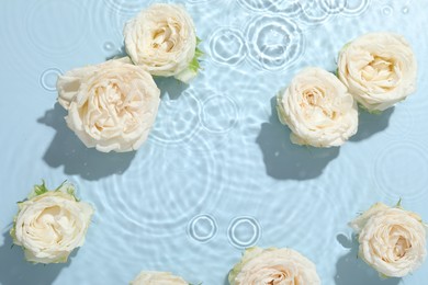 Beautiful rose flowers in water on light blue background, top view