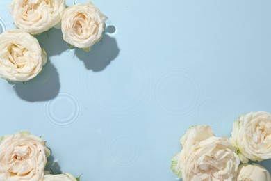 Beautiful rose flowers in water on light blue background, top view. Space for text