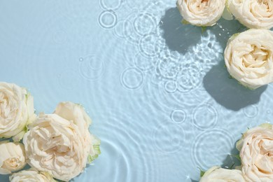 Photo of Beautiful rose flowers in water on light blue background, top view. Space for text