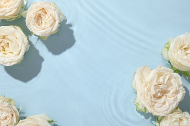 Photo of Beautiful rose flowers in water on light blue background, top view. Space for text