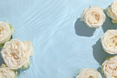 Beautiful rose flowers in water on light blue background, top view. Space for text