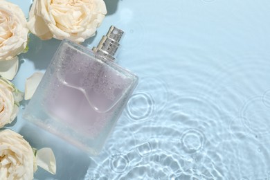 Photo of Beautiful rose flowers and perfume bottle in water on light blue background, flat lay. Space for text