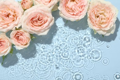 Beautiful rose flowers in water on light blue background, top view. Space for text