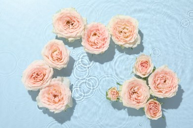 Photo of Beautiful rose flowers in water on light blue background, top view