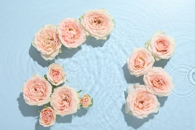 Beautiful rose flowers in water on light blue background, top view