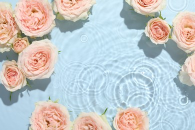 Photo of Beautiful rose flowers in water on light blue background, top view. Space for text