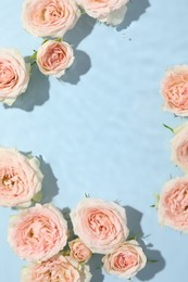 Photo of Beautiful rose flowers in water on light blue background, top view. Space for text