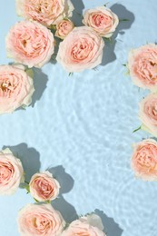 Beautiful rose flowers in water on light blue background, top view. Space for text