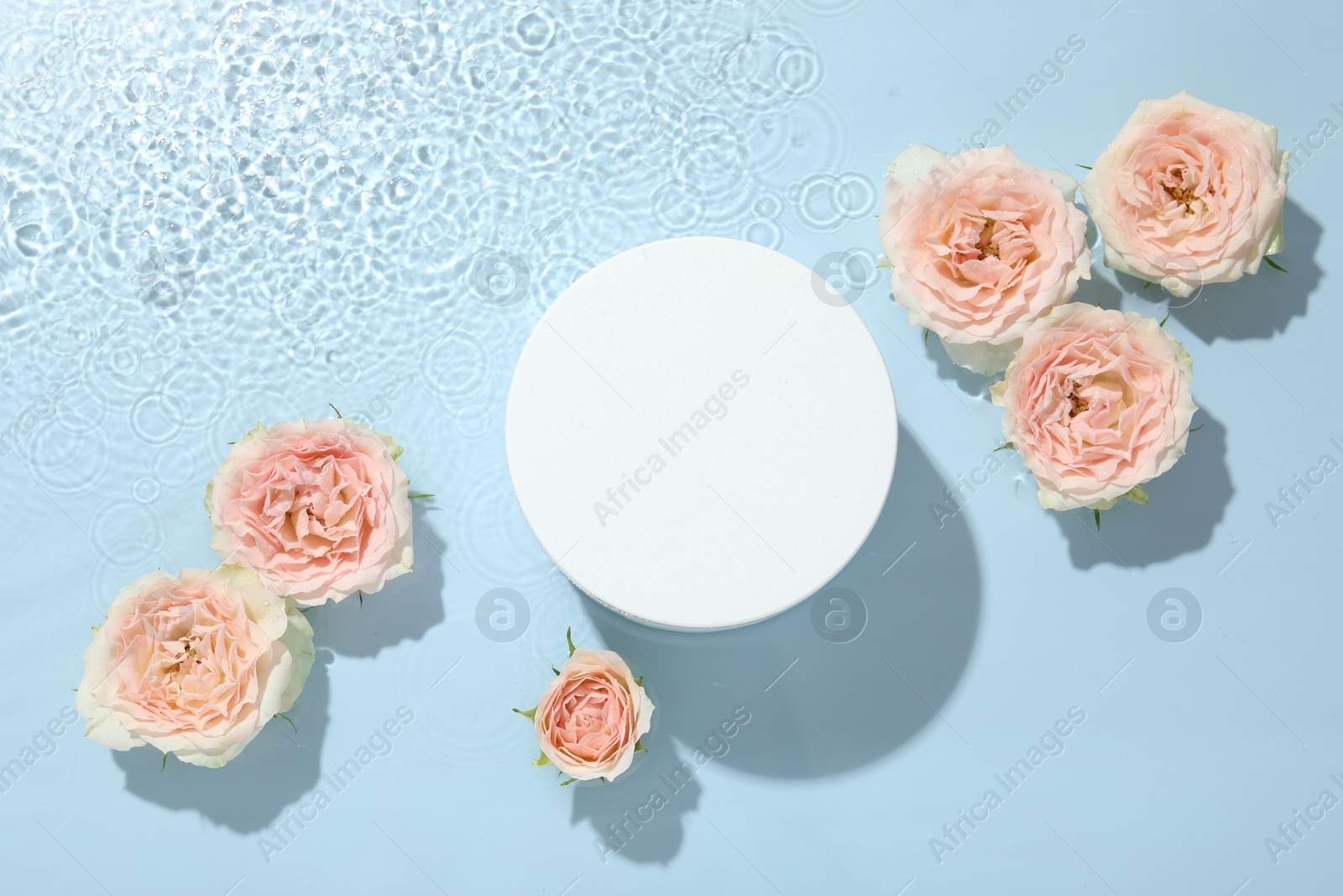 Photo of Beautiful rose flowers and round shaped podium in water on light blue background, flat lay