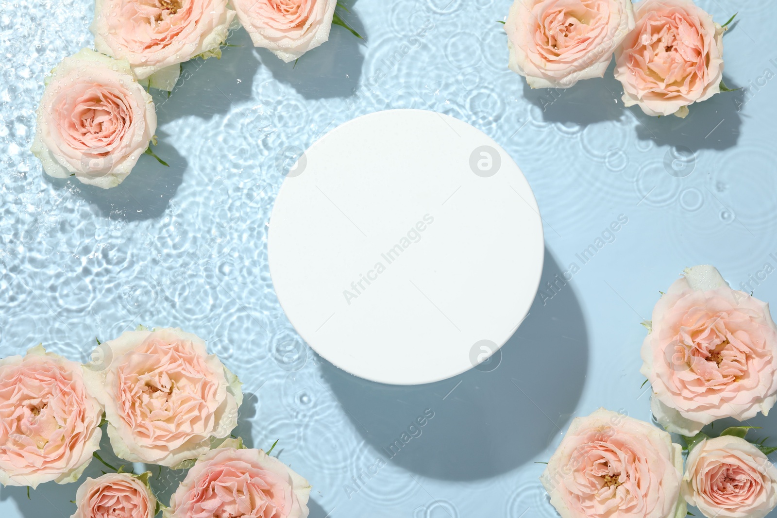 Photo of Beautiful rose flowers and round shaped podium in water on light blue background, flat lay