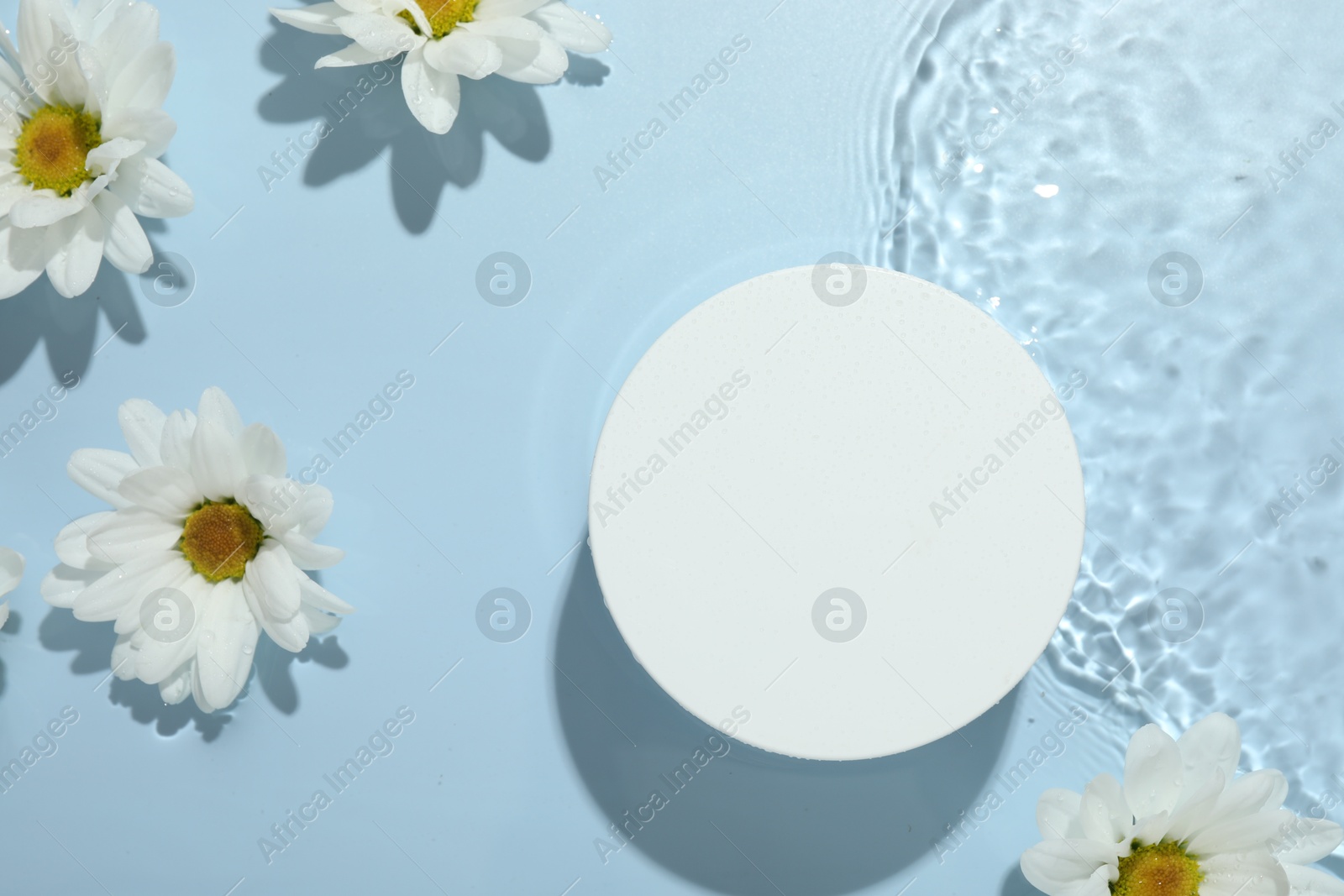 Photo of Beautiful daisy flowers and round shaped podium in water on light blue background, flat lay