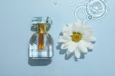 Beautiful daisy flower and perfume bottle in water on light blue background, flat lay