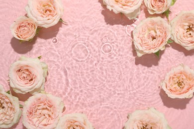 Beautiful rose flowers in water on pink background, top view. Space for text