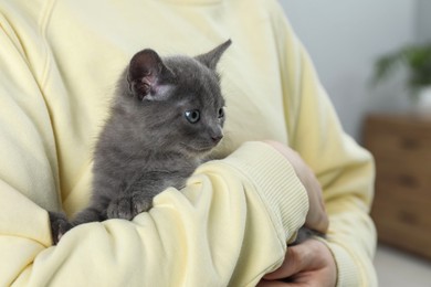 Woman with cute fluffy kitten at home, closeup