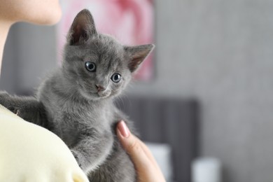 Woman with cute fluffy kitten at home, closeup. Space for text