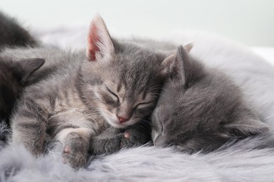 Photo of Cute fluffy kittens sleeping on faux fur. Baby animals