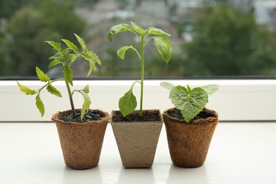 Photo of Tomato, pepper and cucumber seedlings growing in pots on window sill, closeup