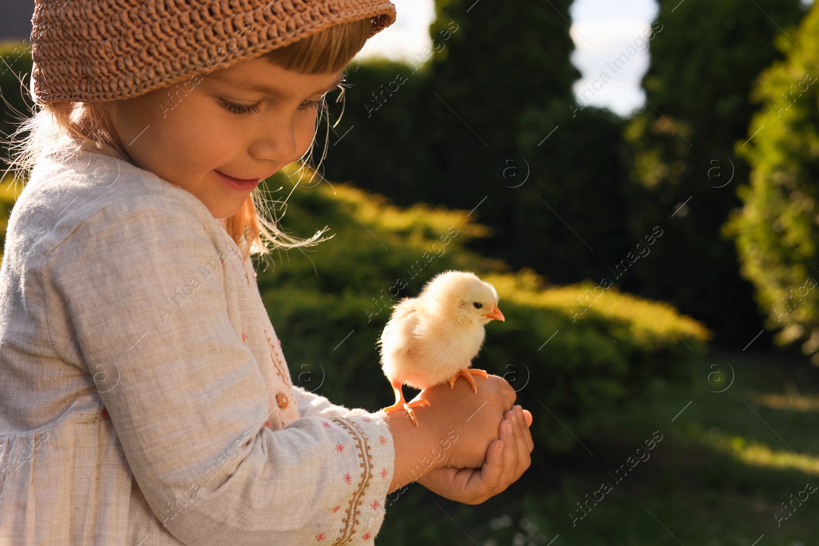 Photo of Cute little girl with chick outdoors. Baby animal