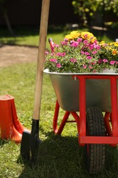 Photo of Wheelbarrow with different beautiful flowers, shovel and rubber boots outdoors