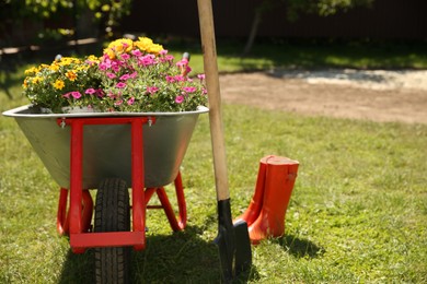 Photo of Wheelbarrow with different beautiful flowers, shovel and rubber boots outdoors, space for text