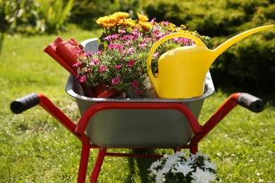 Photo of Wheelbarrow with different beautiful flowers, rubber boots and watering can outdoors, closeup