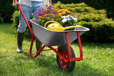 Photo of Farmer pushing wheelbarrow with different beautiful flowers and gardening tools outdoors, closeup