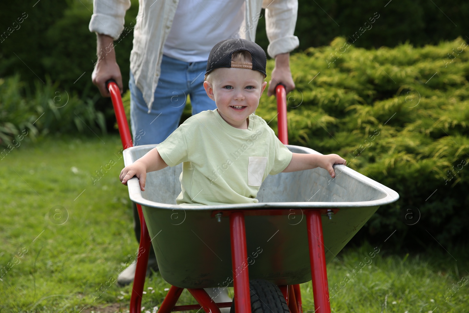 Photo of Father pushing wheelbarrow with his son outdoors, closeup