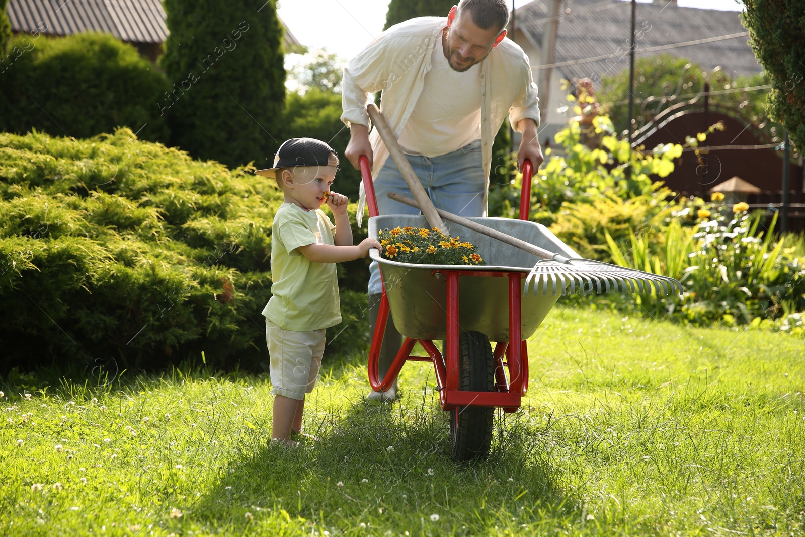 Photo of Father with his son holding wheelbarrow full of beautiful flowers and gardening tools outdoors