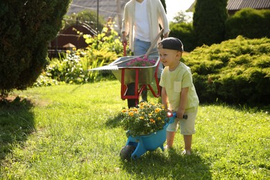 Photo of Father with his son pushing wheelbarrows full of beautiful flowers and gardening tools outdoors, closeup