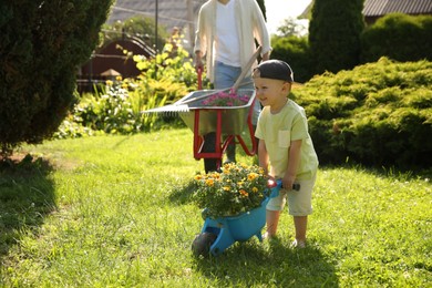 Father with his son pushing wheelbarrows full of beautiful flowers and gardening tools outdoors, closeup