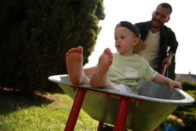 Photo of Father pushing wheelbarrow with his son outdoors, selective focus