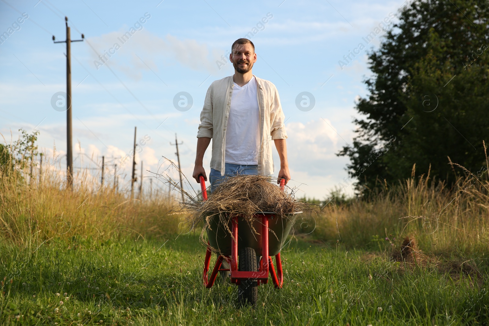 Photo of Farmer with wheelbarrow full of mown grass outdoors