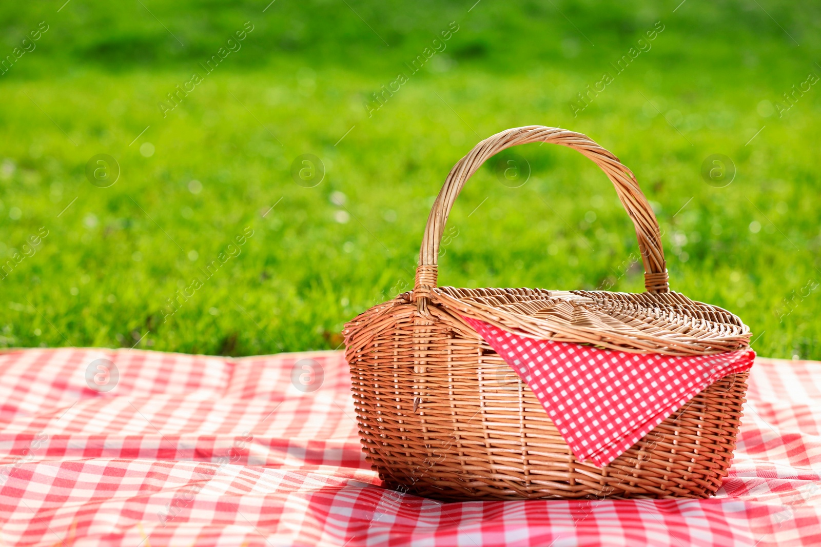 Photo of One picnic wicker basket with checkered napkin and blanket on green grass. Space for text