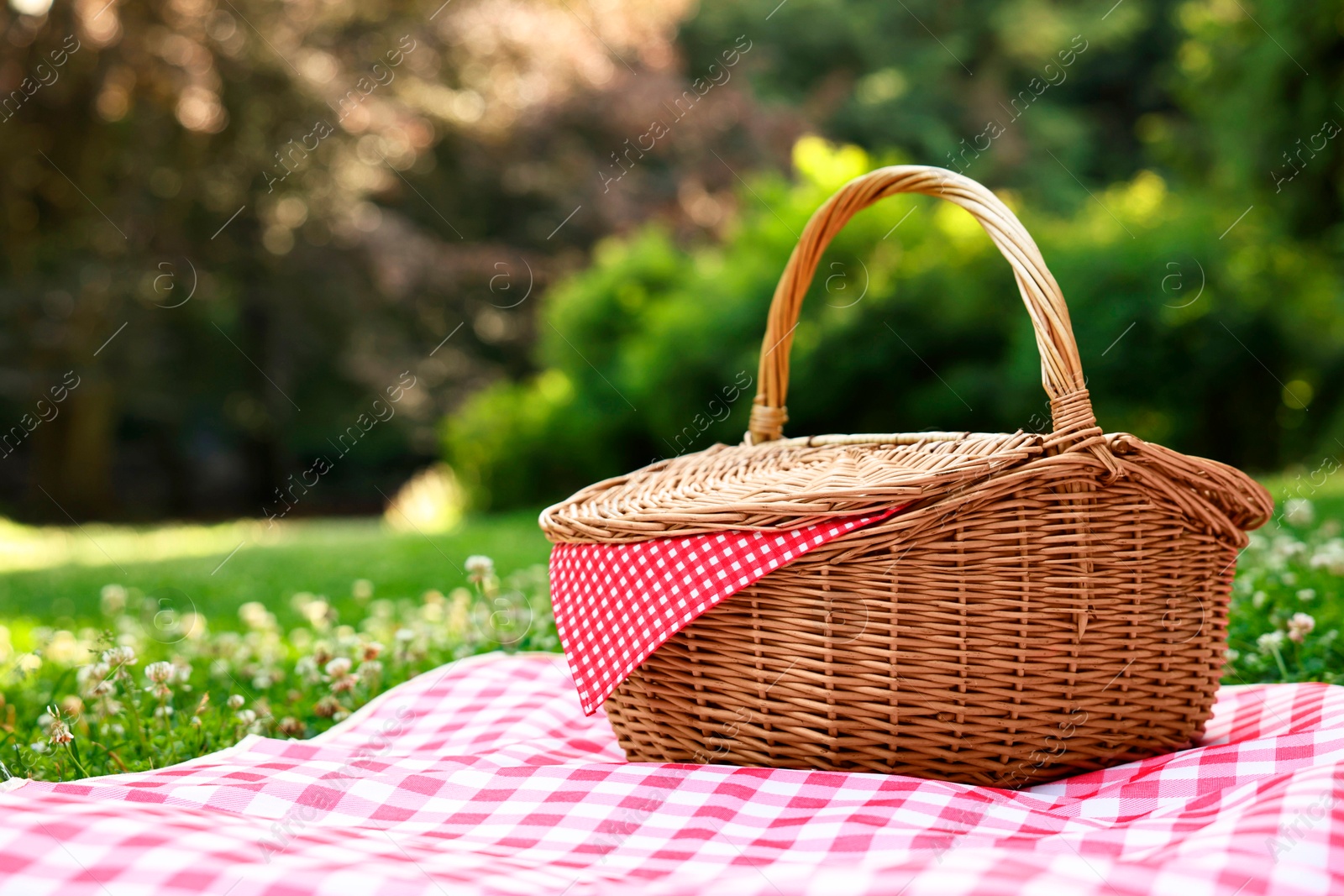 Photo of One picnic wicker basket with checkered napkin and blanket on green grass. Space for text