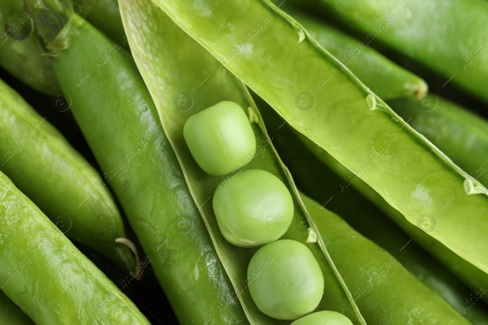 Photo of Many fresh green pods and peas as background, closeup