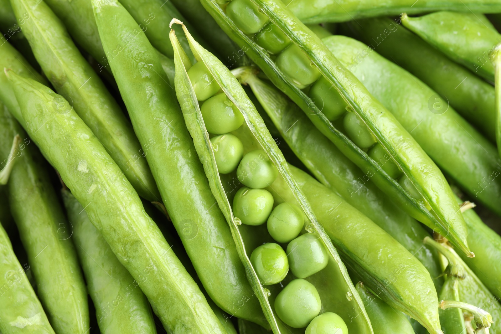 Photo of Many fresh green pods and peas as background, closeup