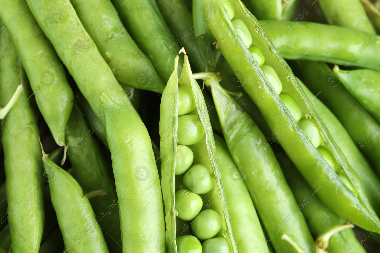 Photo of Many fresh green pods and peas as background, closeup