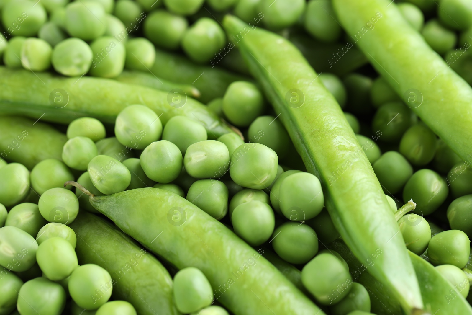 Photo of Many fresh green pods and peas as background, closeup